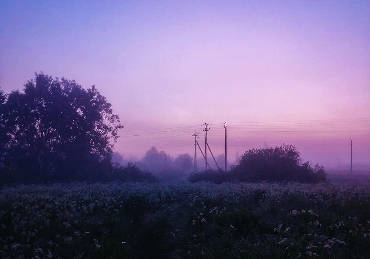 乐鱼APP：把娱乐带回掌心，生活从此多彩